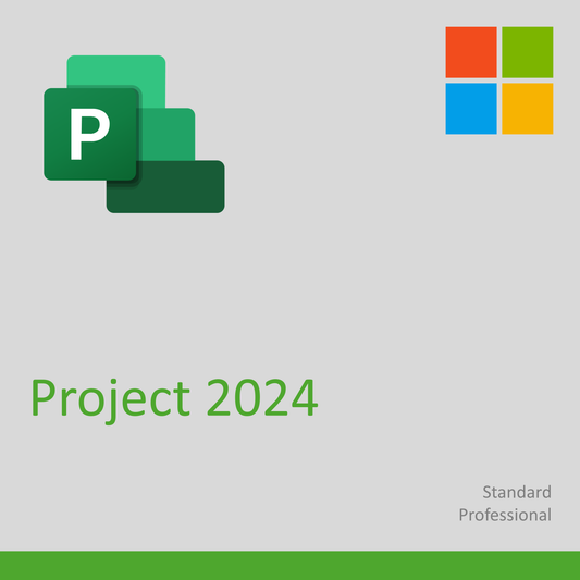 Project 2024